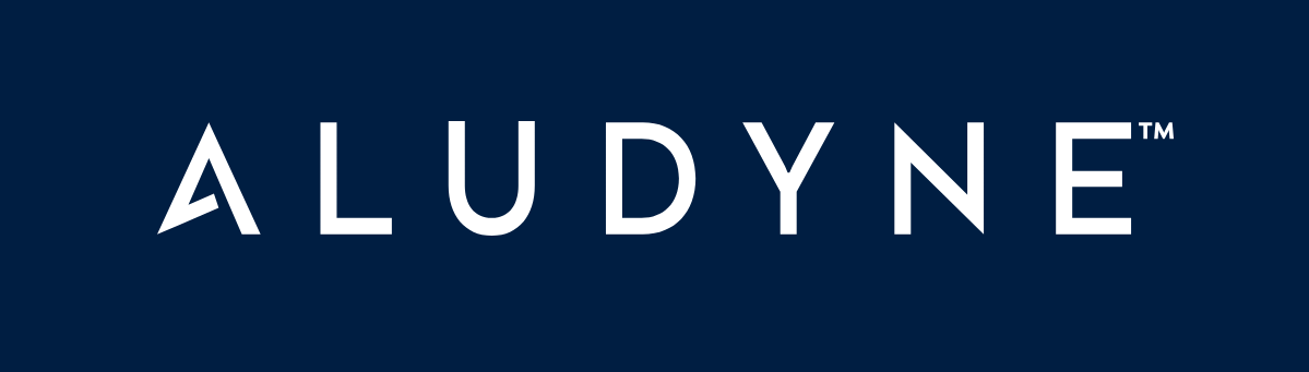 Online Auction | Aludyne