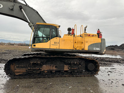 Excavators & Radial Stacker for immediate sale