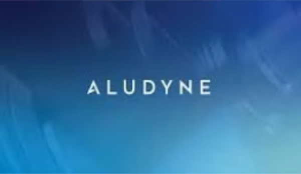 Online Auction | Aludyne Aluminium Processing and Smelting Equipment ...