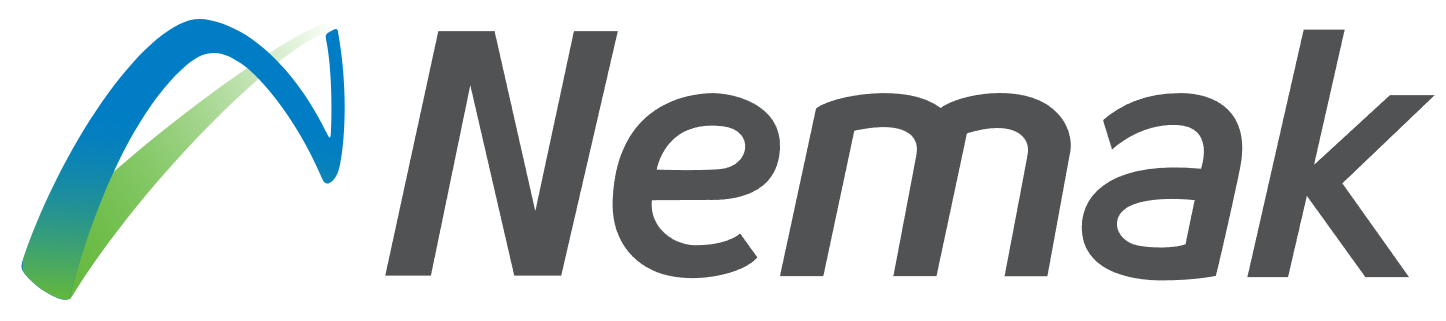 Final Online Auction | Nemak