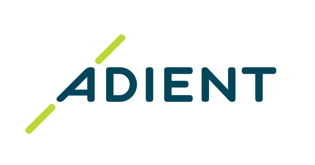 Former Assets of Adient
